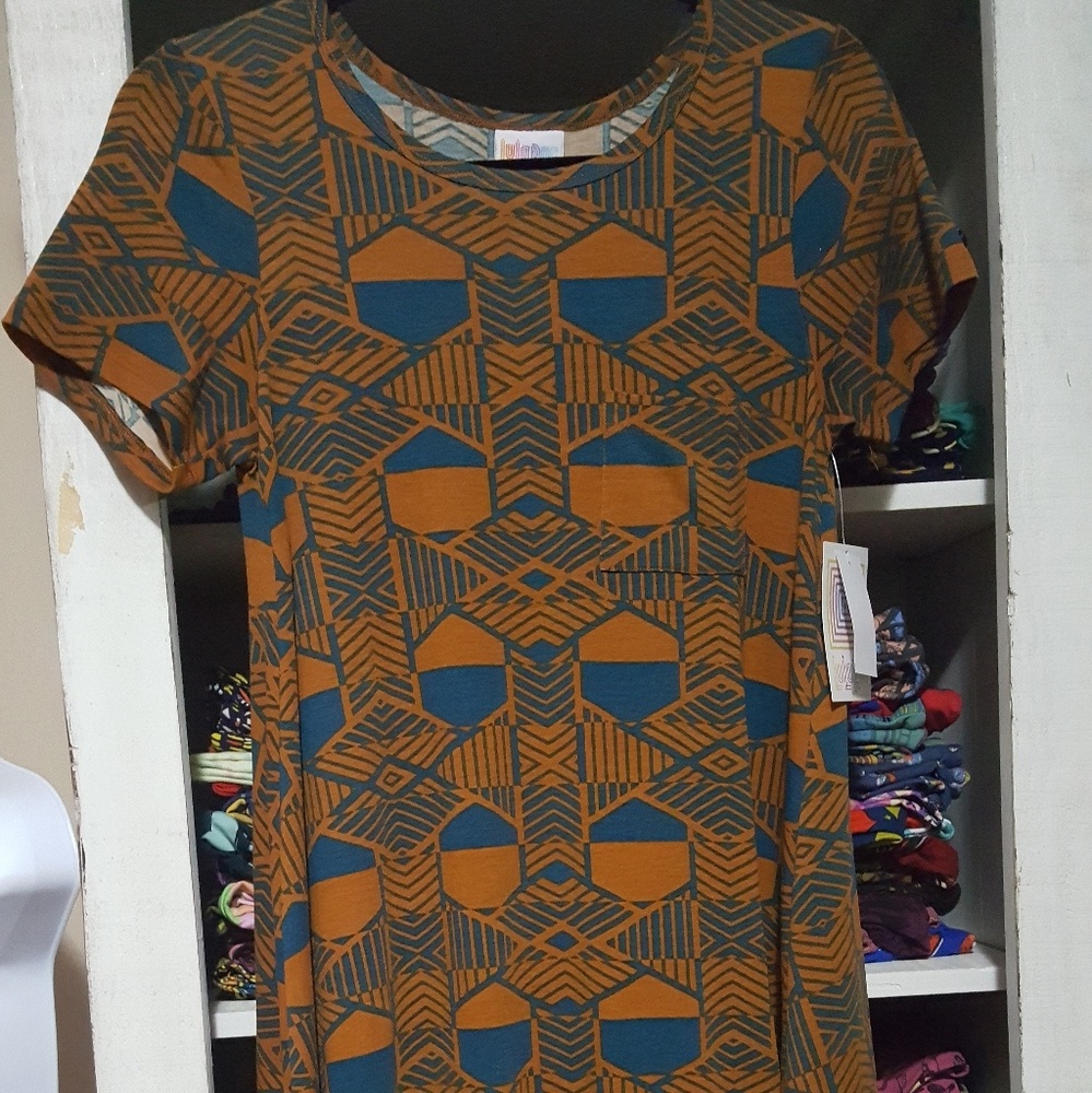 XXS Lularoe Carly swing dress